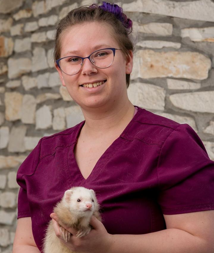 Veterinarians in Austin Austin TX Veterinarians